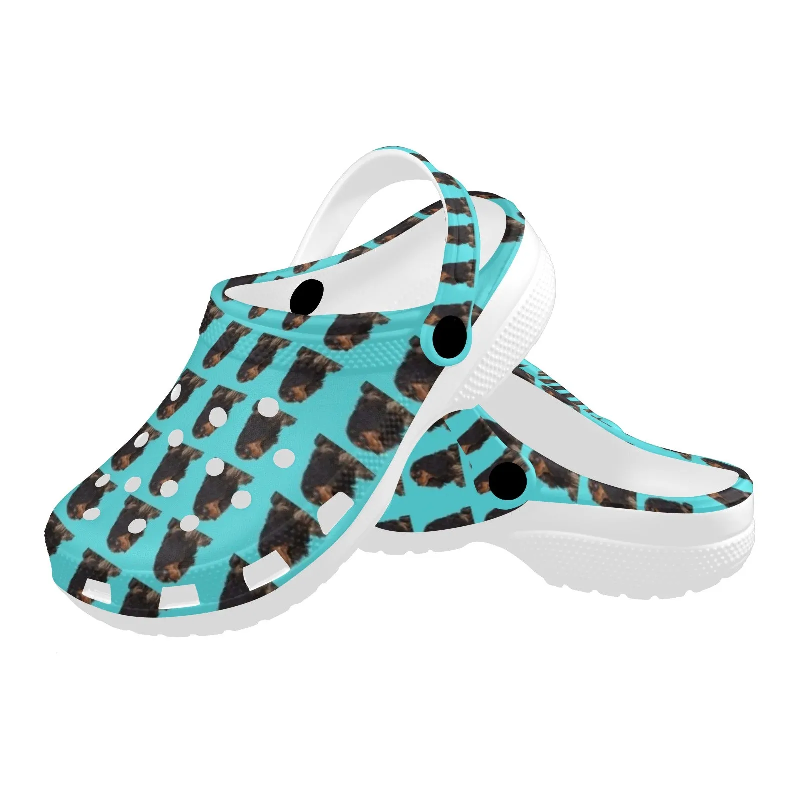 Cavalier King Charles Spaniel Clogs