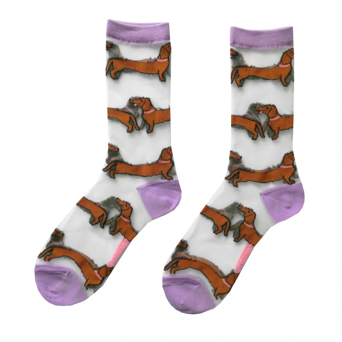 Durchsichtige Socken "Dackel"