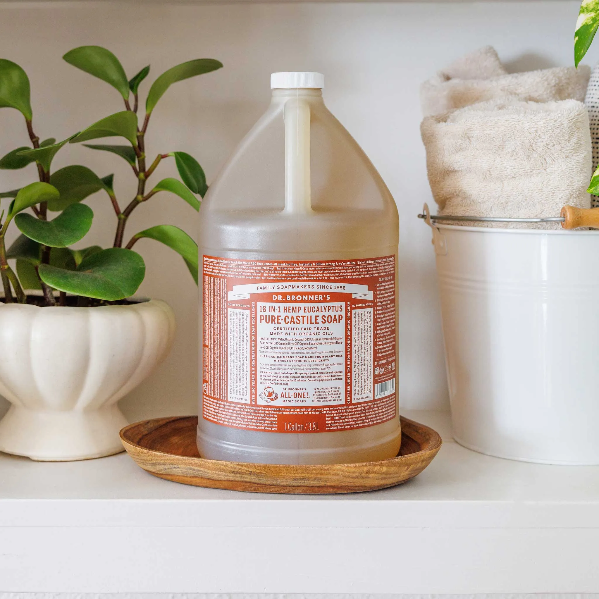 Eucalyptus - Pure-Castile Liquid Soap