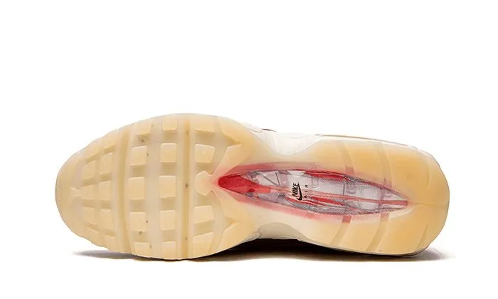 Nike Air Max 95 Anatomy of Air