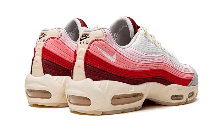Nike Air Max 95 Anatomy of Air