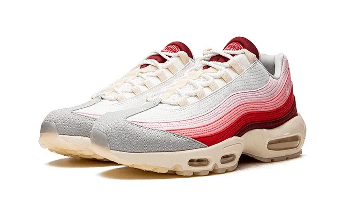 Nike Air Max 95 Anatomy of Air