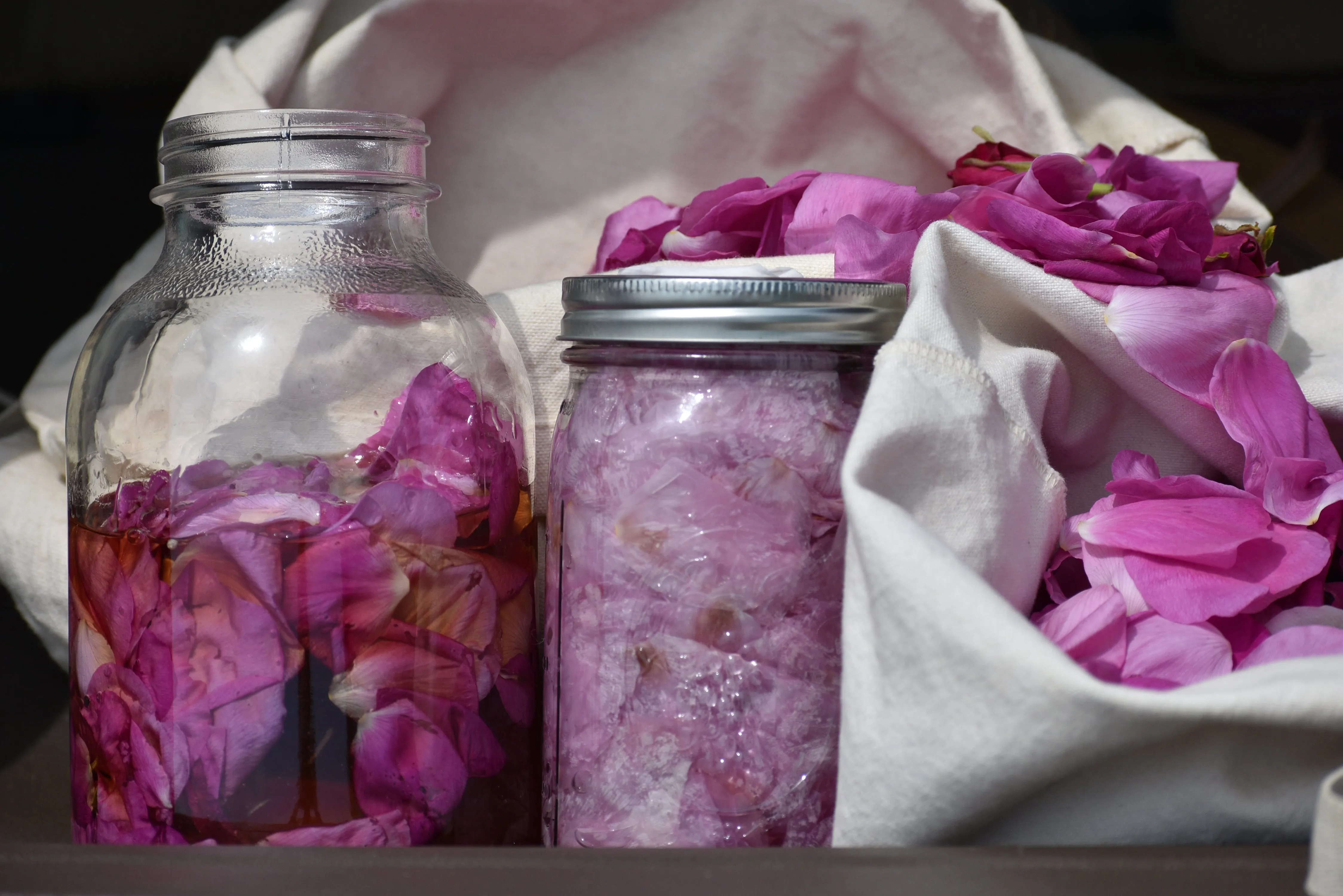 RAINWATER ROSE - Natural Botanical Eau de Toilette | Fresh Blooming Roses hand gathered at the Ocean