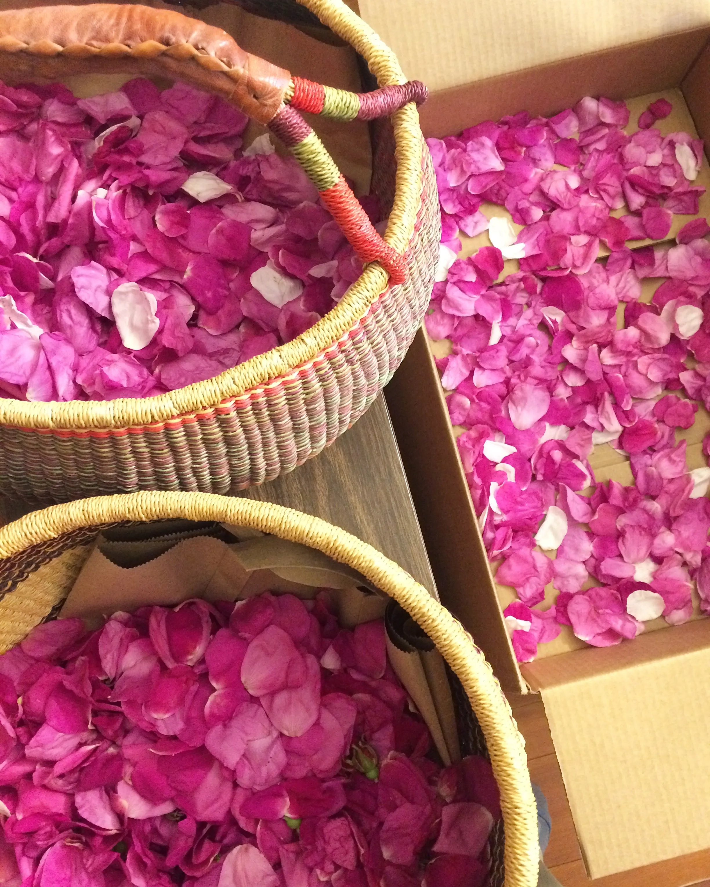 RAINWATER ROSE - Natural Botanical Eau de Toilette | Fresh Blooming Roses hand gathered at the Ocean