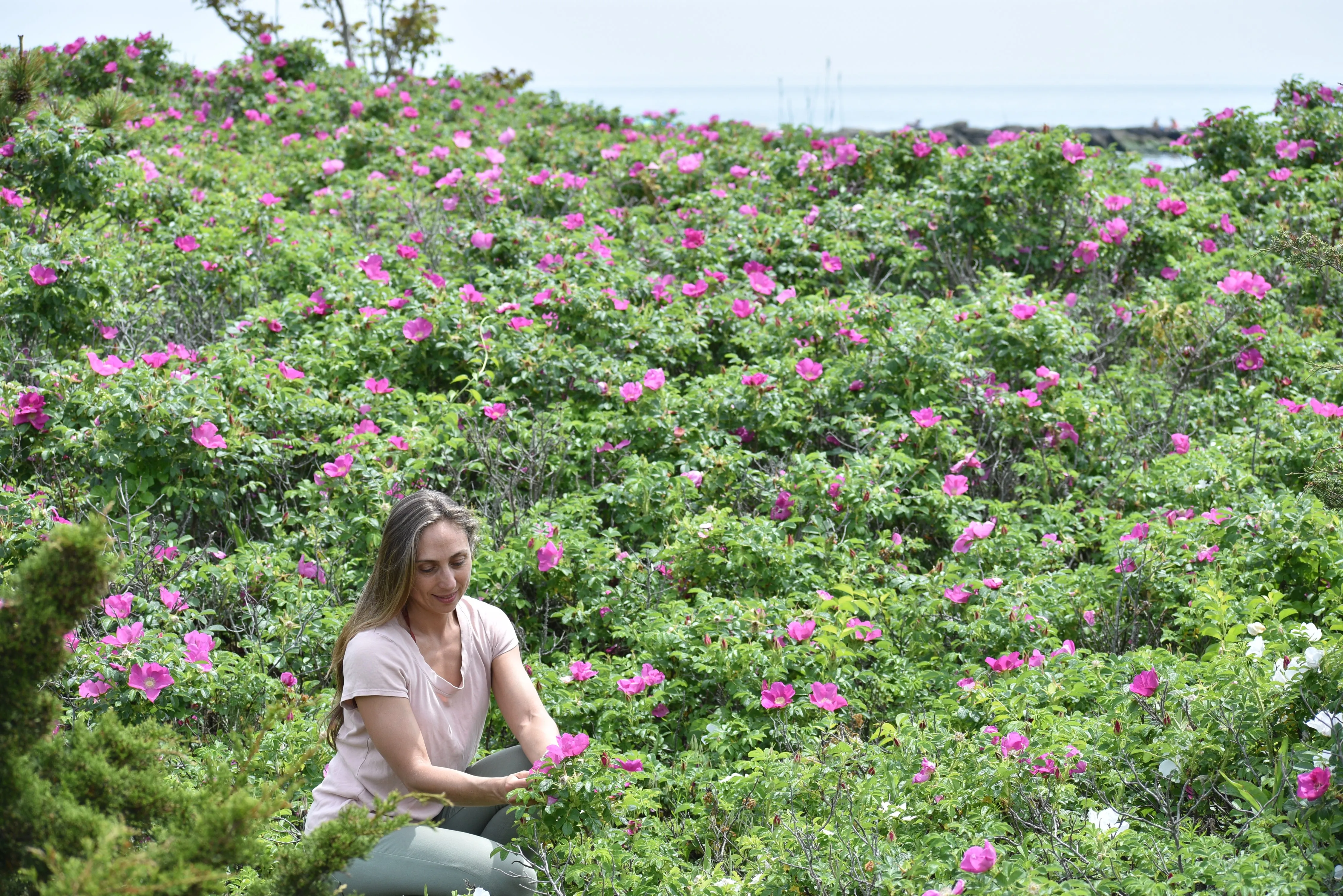 RAINWATER ROSE - Natural Botanical Eau de Toilette | Fresh Blooming Roses hand gathered at the Ocean