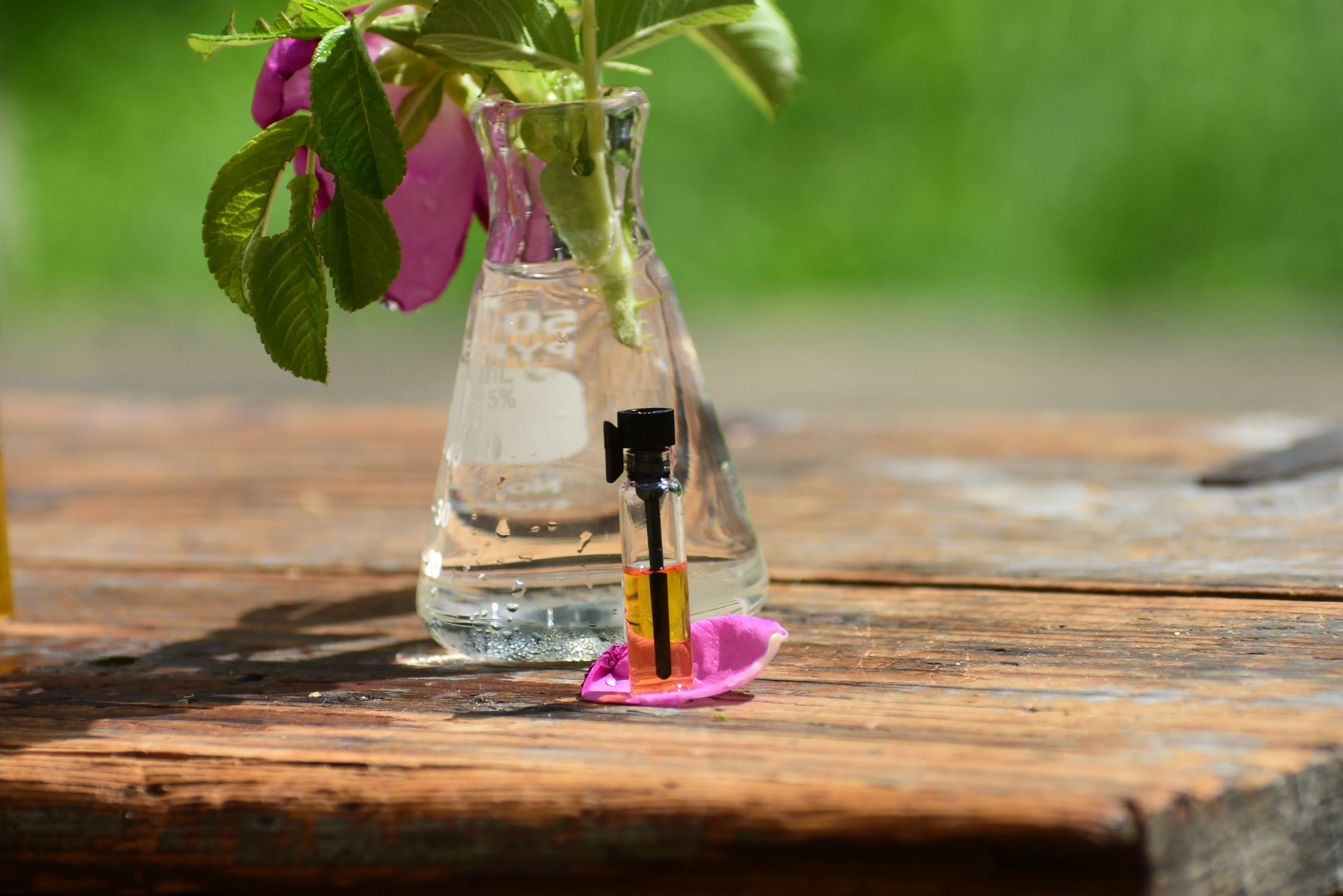 RAINWATER ROSE - Natural Botanical Eau de Toilette | Fresh Blooming Roses hand gathered at the Ocean