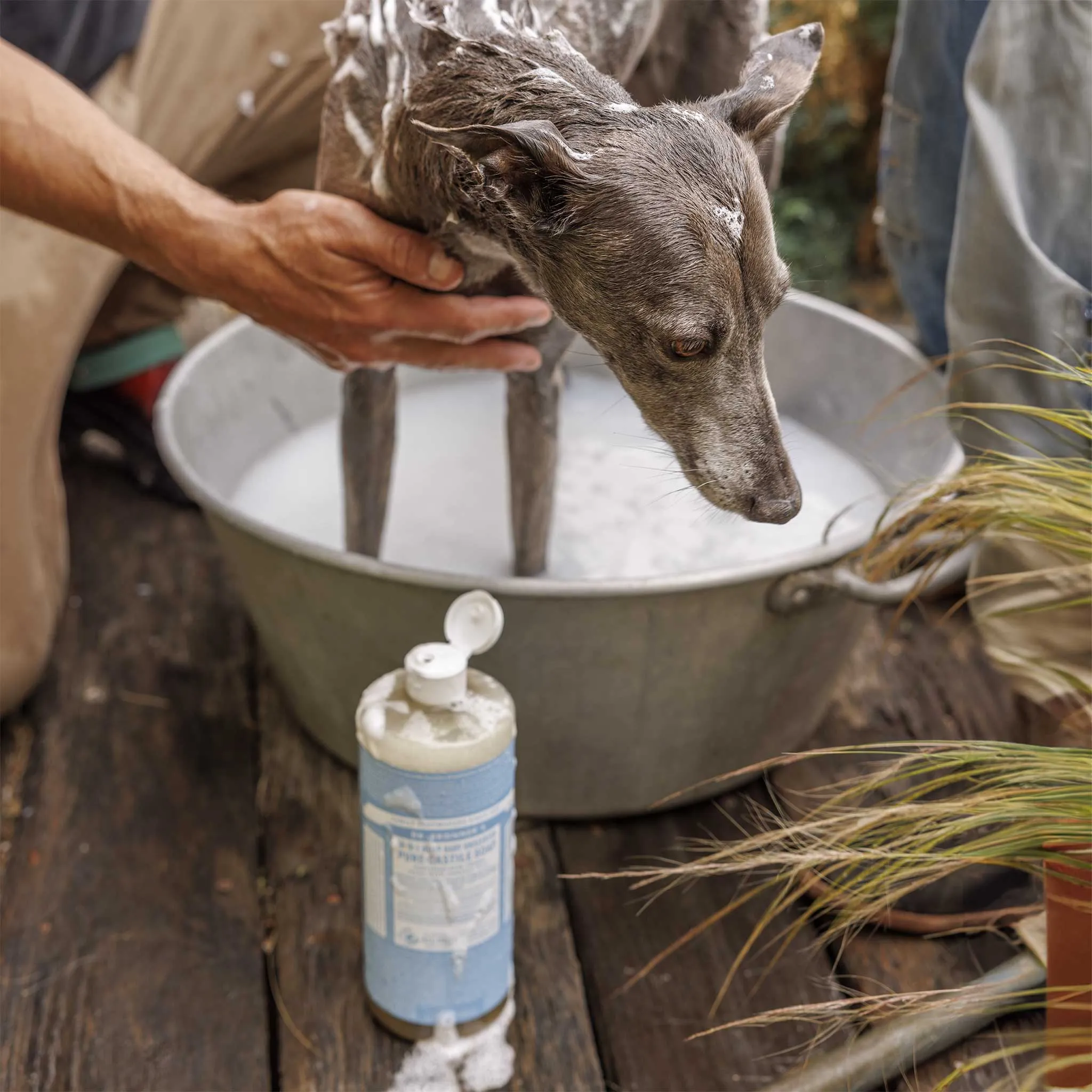 Unscented - Pure-Castile Liquid Soap